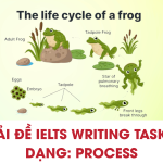 Xanh Lá Hiện Đại Đơn Giản Sale Deal Ưu Đãi Sản Phẩm Bán Hàng Bìa Facebook Banner Cover (1)