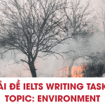 Xanh Lá Hiện Đại Đơn Giản Sale Deal Ưu Đãi Sản Phẩm Bán Hàng Bìa Facebook Banner Cover (1)